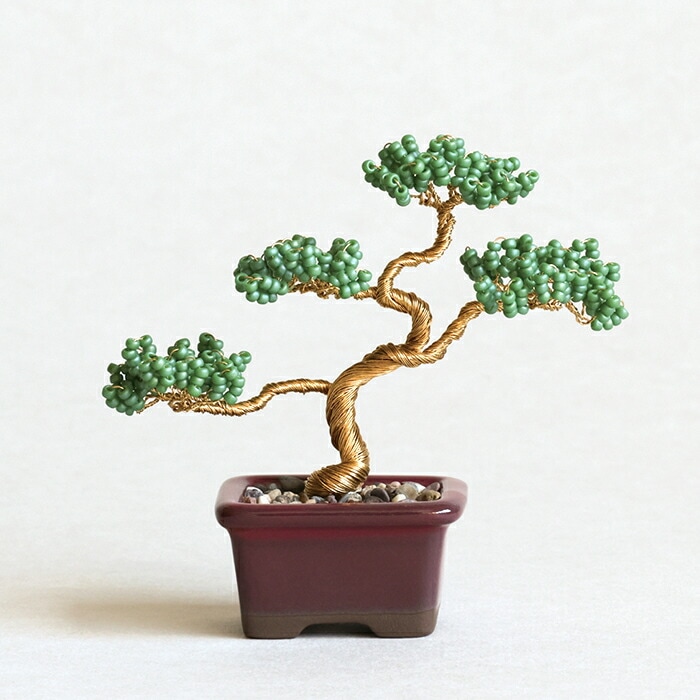 Backside works アート鉢 植物連鎖 金銀セット 魂根少女 Backside works. – Page 9 – VALIANT GALLERY ONLINE
