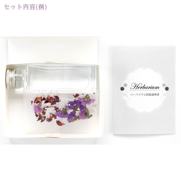 ハーバリウムスターターキット スターチス | 作って飾る | 手芸用品の 