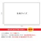 有輪商店 LIVE LIFE コレクション シャーティング 210120 アソート 30cm×50cm (カットクロス)