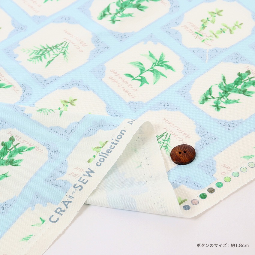 CRA-SEW collection オックス ヴァネッサカード JCY-040 1m