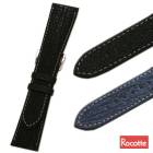 �ڥ����åơۥ����륹 ���㡼�� ����� ���ץ٥��