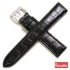 ڥåơۥɥ쥹  ˳ ץ٥