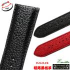 ڥߥåɱϩ  磻ɥ ץ٥