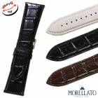 ڥ顼ȡۥȥ  磻 󥿥åХ ץ٥