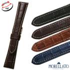 �ڥ��顼�ȡ�PLUS �ץ饹 ������ ���ץ٥��