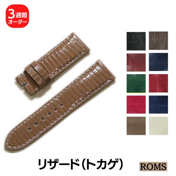 ��ROMS�ۥꥶ���� �������� ���ץ٥��