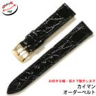 ڼ 󥷥 ޥ ˳  ץ٥   ٥ ץХ ̵