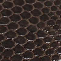 �ڼ��������ۥ��󥷥��� �ꥶ���� �ȥ����� �������� ���ץ٥�� ������ ���� �٥�� ���ץХ�� ����̵��