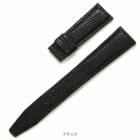 �ڼ��������ۥ��󥷥��� ���㡼�� ����� �������� ���ץ٥�� ������ ���� �٥�� ���ץХ�� ����̵��