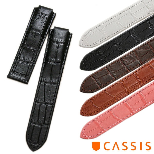 ڥۥƥ Х֥롼  ץ٥