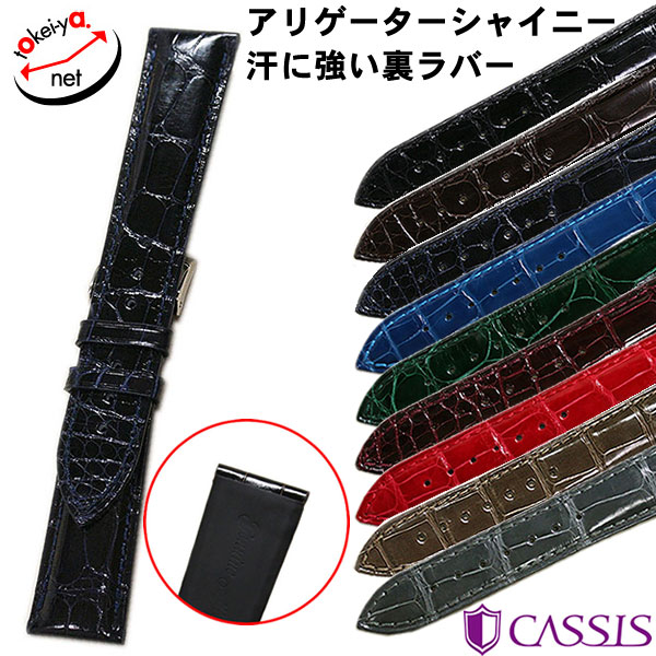 ڥۥɥʥ饫å 㥤ˡ ꥲ ΢С ץ٥