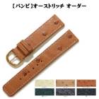 �ڥХ�ӡۥ������ȥ�å� �������� ���ץ٥��