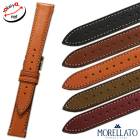 ���顼�� ���륰�쥳 ������ ���ץ٥��