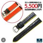 �����׷���� ������ �ϥ��֥�å� �������ߥ�С� ���ץ٥��