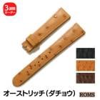 ��ROMS�ۥ������ȥ�å� �����祦�� �ܳ� �������� ������ ���ץ٥��