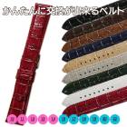 �ڥХ�ӡۥե����ޥ�ϥ��� ������ ���ץ٥�� BKLE040