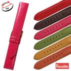 �ڥ����åơۥ������ ������ ���� ���硼�ȥ����� ���ץ٥��