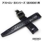 SEIKO �������� �����ȥ��� �ӻ��� �٥�� SBXB081 ������������ ��˳� �ͥ��ӡ� 22mm ���� ���ץ٥�� D�Хå����� L0CK018M9 ����̵��