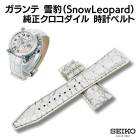 ��SEIKO�ۥ����� 10��ǯ ���Ρ���ѡ��� ���� ������������ ���ץ٥�� 24mm �ۥ磻�ȡߥ��졼