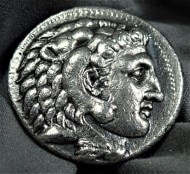 ؿƳڤ女󥷥꡼١ޥɥ˥쥭粦ʺ߰BC336-323ǯȯԤ줿ߥƥȥɥ饯޶