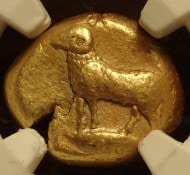 ߥ奷奸ǵ500ǯ-450ǯȯԤ줿ƥ