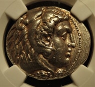 ޥɥ˥쥭粦BC336-323ǯ˥ƥȥɥ饯޶