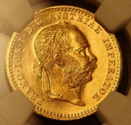 ȥꥢ1880ǯMS65ץ롼ե饤ǹͣʡ1åȶ