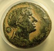 ���쥪�ѥȥ��80�ɥ饯�ޥ�Ƽ�ߡ�BC51-30ǯ��R