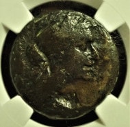 ���쥪�ѥȥ��80�ɥ饯�ޥ�Ƽ�ߡ�BC51-30ǯ��R