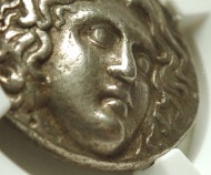 �����ɥ��祫�ꥢ���ƥȥ�ɥ饯�ޡ�BC230-205ǯ��