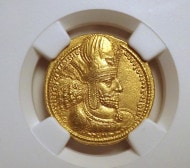 ������ī�ڥ륷�������㡼�ס���1���������Υǥ��ʡ�����