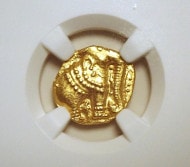 ��������ɡ�����ī�Υѥ������MS64�����