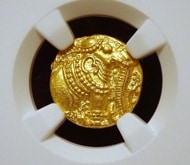 ��������ɡ�����ī�Υѥ������MS64�����