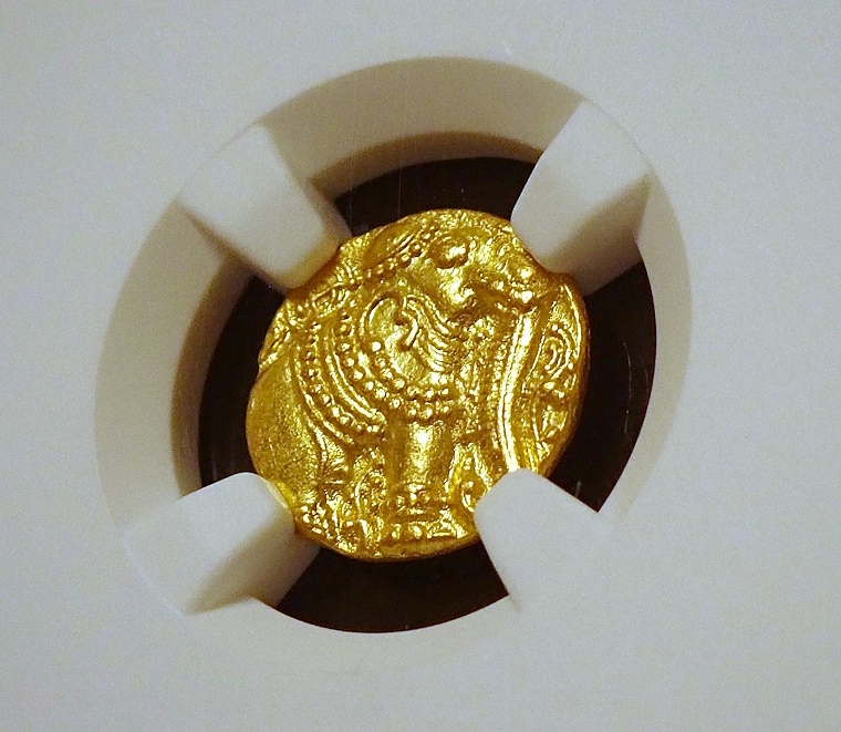 ��������ɡ�����ī�Υѥ������MS64�����