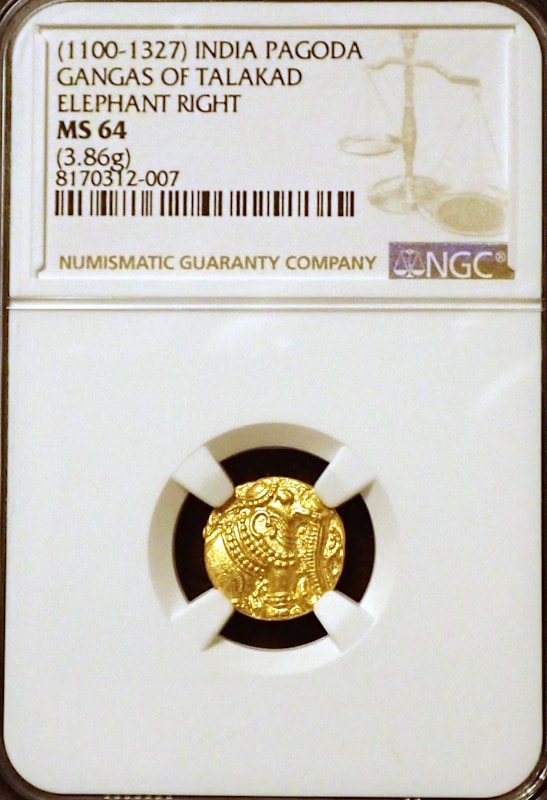 ��������ɡ�����ī�Υѥ������MS64�����