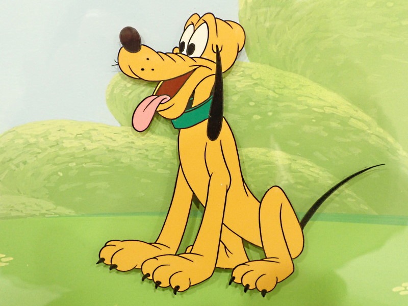 �ǥ����ˡ��Υƥ�����ȡ�Mickey Mouse Works�פǼºݤ˻Ȥ�줿���ץ롼�Ȥ�£���ѥ����ʼ������ط��ǡ�