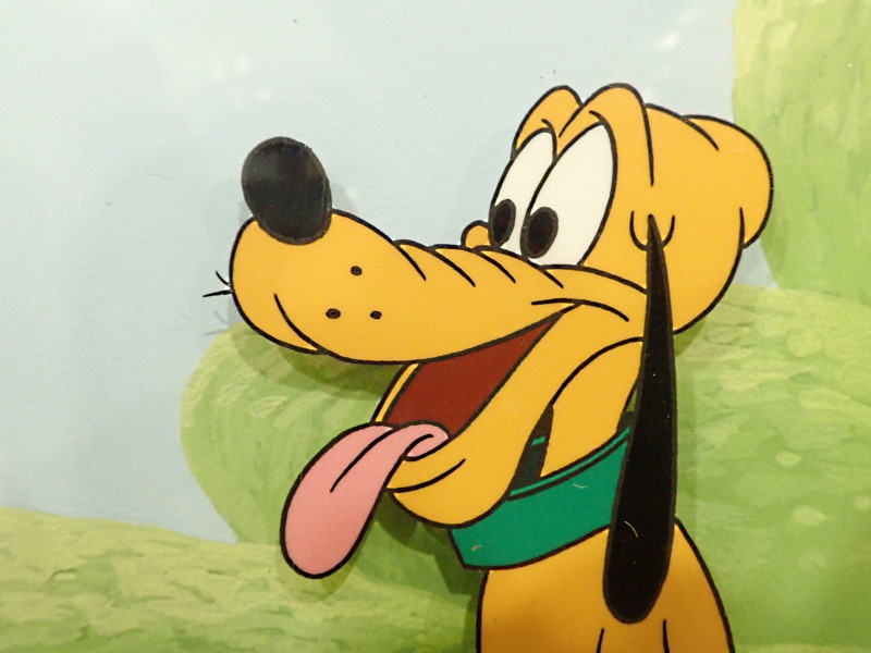 �ǥ����ˡ��Υƥ�����ȡ�Mickey Mouse Works�פǼºݤ˻Ȥ�줿���ץ롼�Ȥ�£���ѥ����ʼ������ط��ǡ�