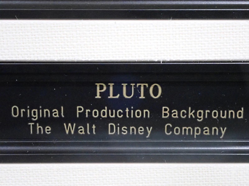 �ǥ����ˡ��Υƥ�����ȡ�Mickey Mouse Works�פǼºݤ˻Ȥ�줿���ץ롼�Ȥ�£���ѥ����ʼ������ط��ǡ�