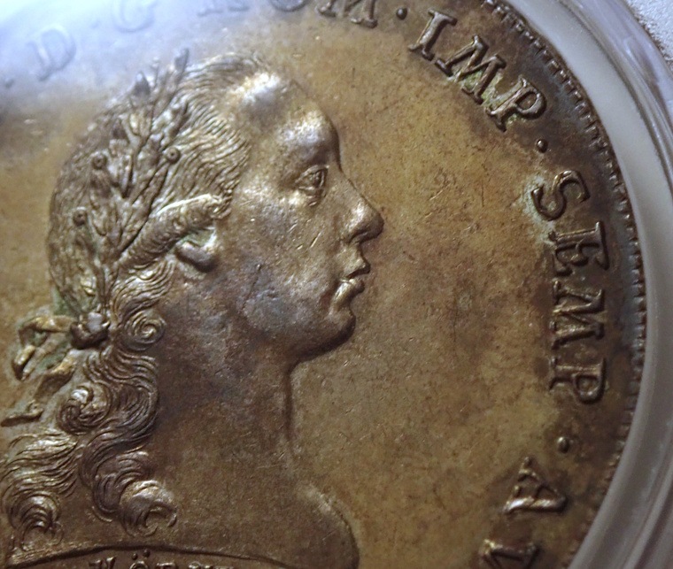 ɥĤΥ졼󥹥֥륯1793ǯԻԷʴѥ