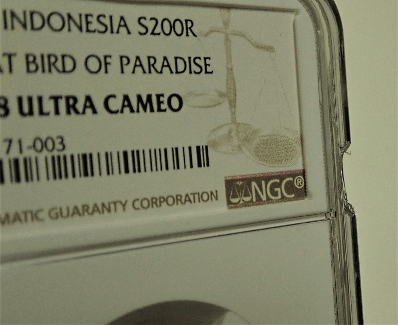 ����ɥͥ�����Ω25��ǯ��ǰ���5�祻�å�1970ǯ�����롼���Ͻ�ǹ����