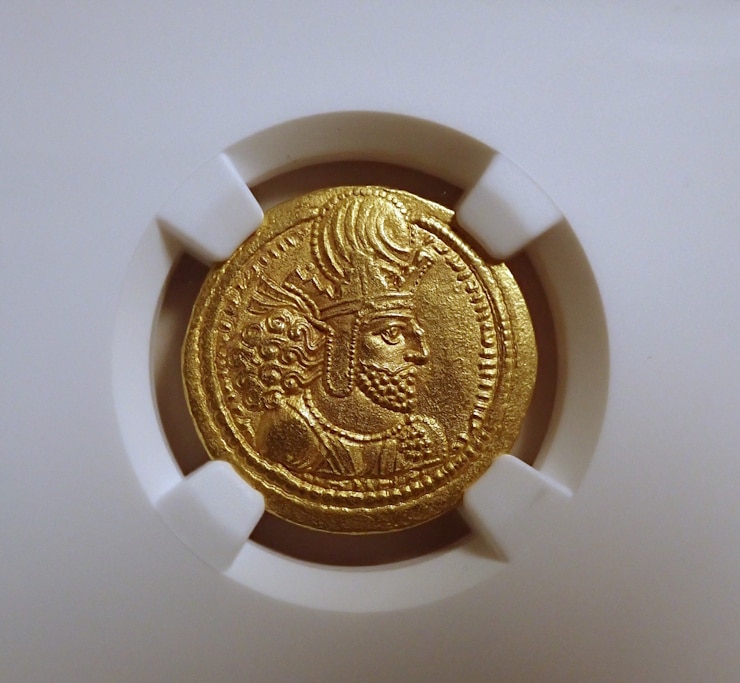 ������ī�ڥ륷�������㡼�ס��룱���Υǥ��ʡ�����Ch AU����