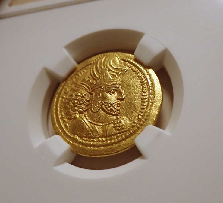 ������ī�ڥ륷�������㡼�ס��룱���Υǥ��ʡ�����Ch AU����