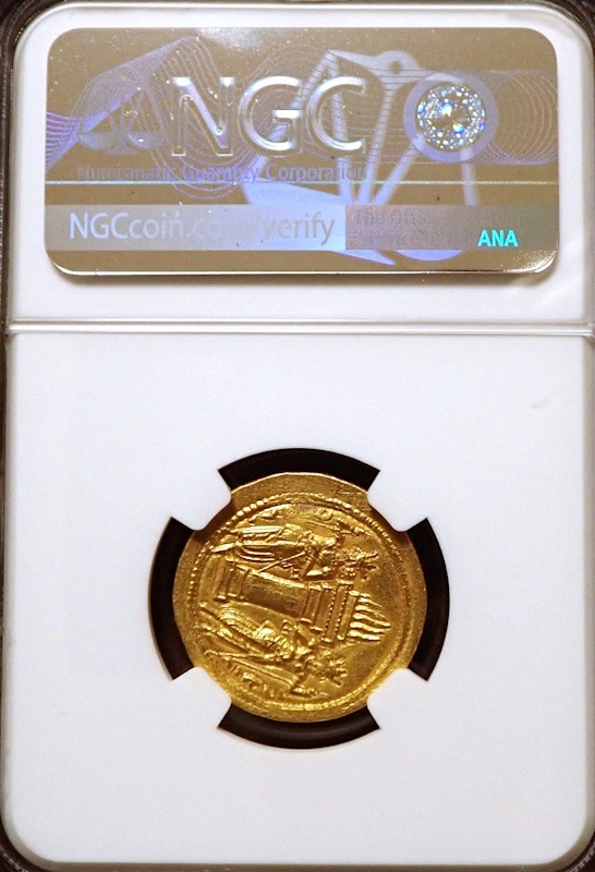 ������ī�ڥ륷�������㡼�ס��룱���Υǥ��ʡ�����Ch AU����