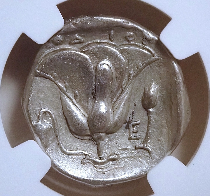 �����ɥ��祫�ꥢ���ƥȥ�ɥ饯�ޡ�BC316��305ǯ��