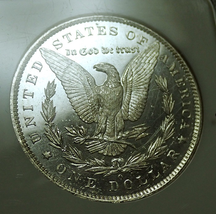 ����ꥫ1885ǯ1�ɥ��ߡ֥ǥ����ס��ץ롼�ե饤����