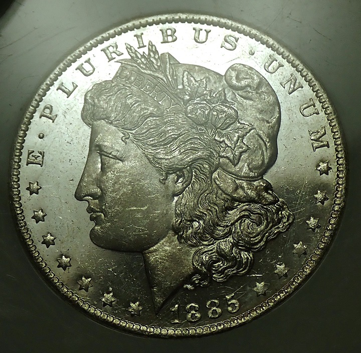 ����ꥫ1885ǯ1�ɥ��ߡ֥ǥ����ס��ץ롼�ե饤����