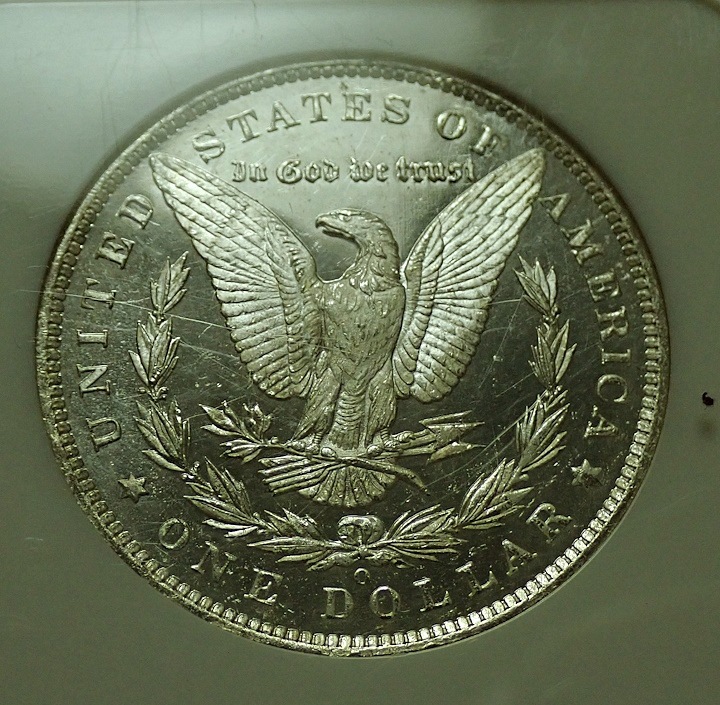 ����ꥫ1885ǯ1�ɥ��ߡ֥ǥ����ס��ץ롼�ե饤����
