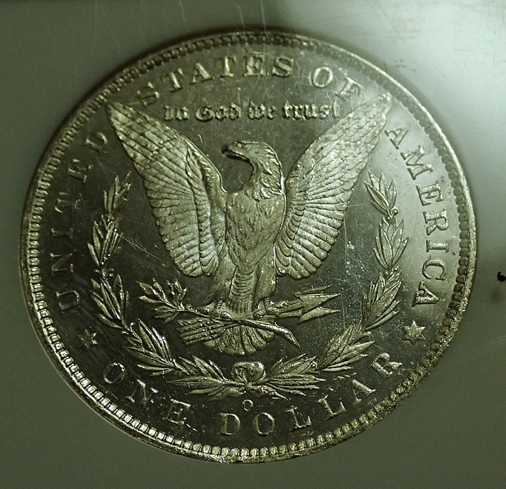 ����ꥫ1885ǯ1�ɥ��ߡ֥ǥ����ס��ץ롼�ե饤����