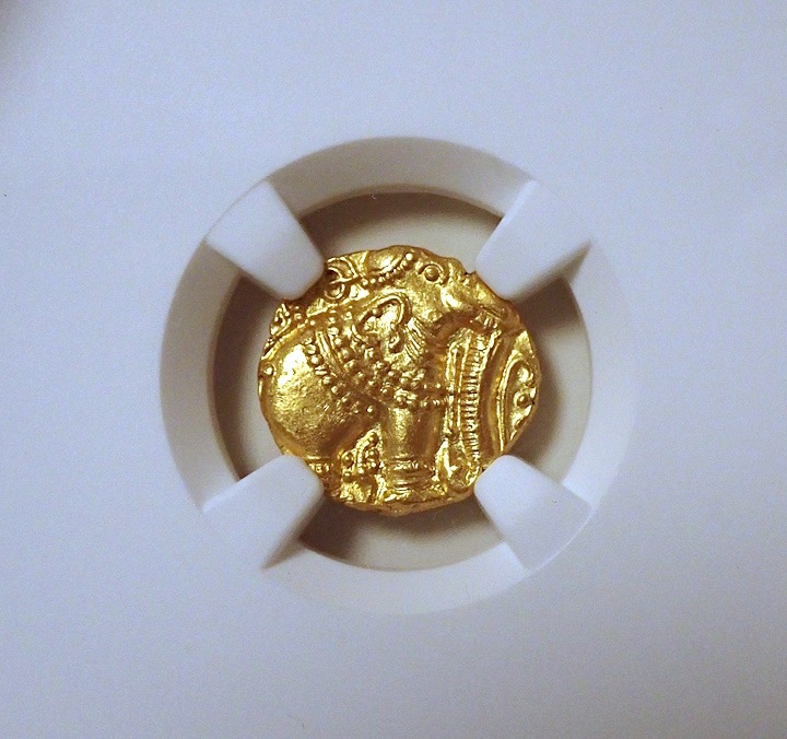 ��������ɡ�����ī�Υѥ������MS64�����