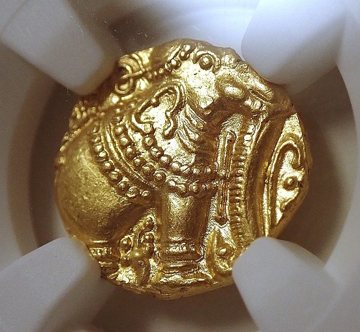 ��������ɡ�����ī�Υѥ������MS64�����